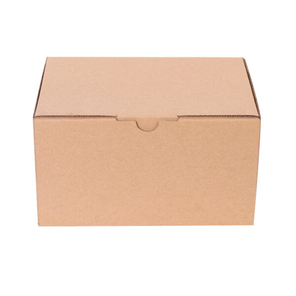 100pcs 175 x 135 x 95mm Diecut Mailing Box Heavy Duty